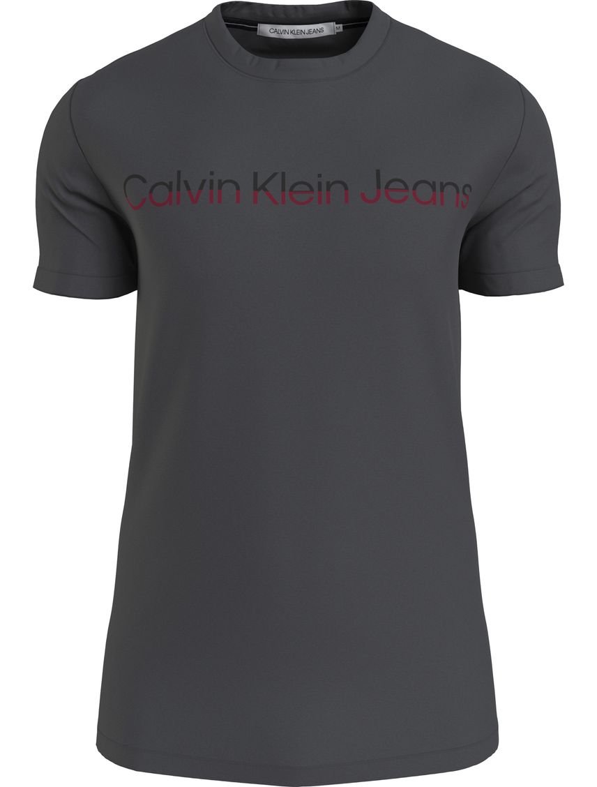 CAMISETA MIXED INSTITUTIONAL LOGO TEE CK