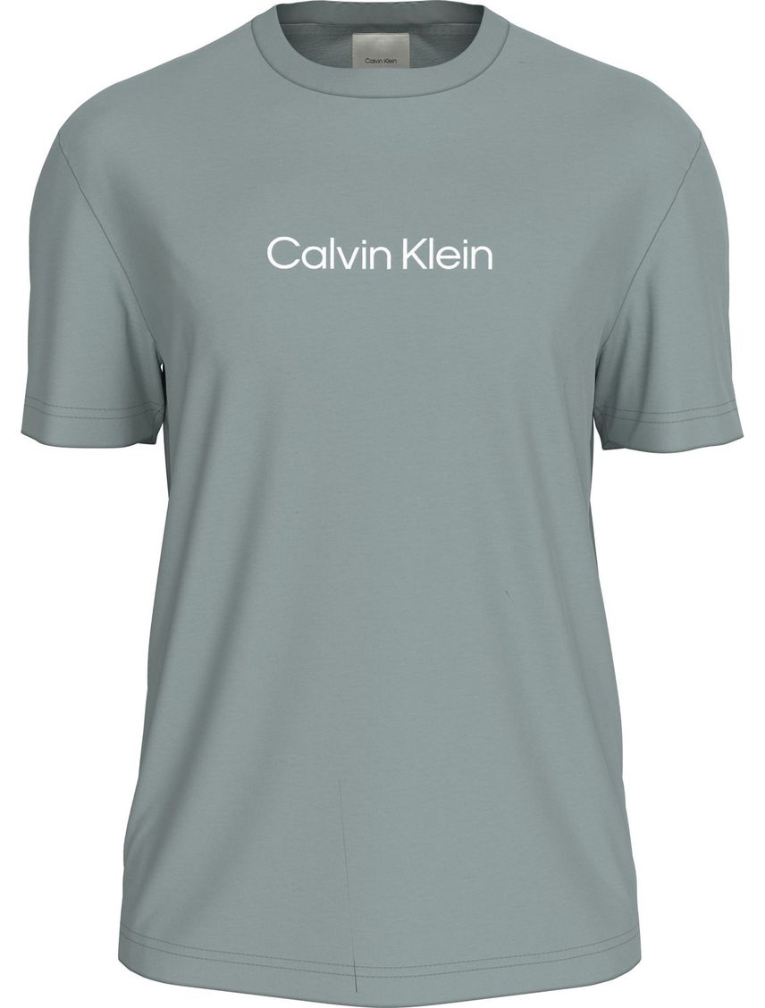 CAMISETA HERO LOGO COMFORT T-SHIRT CK