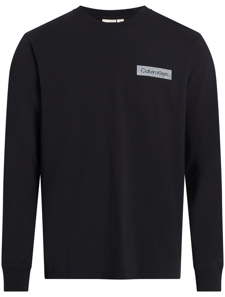 CAMISETA RAISED CONCRETE LOGO LS T-SHIR CK