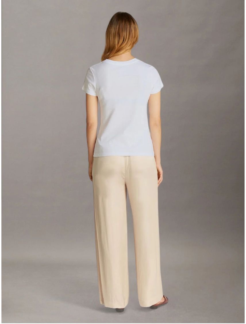 CAMISETA INSTITUTIONAL GRAPHIC SLIM TEE CK